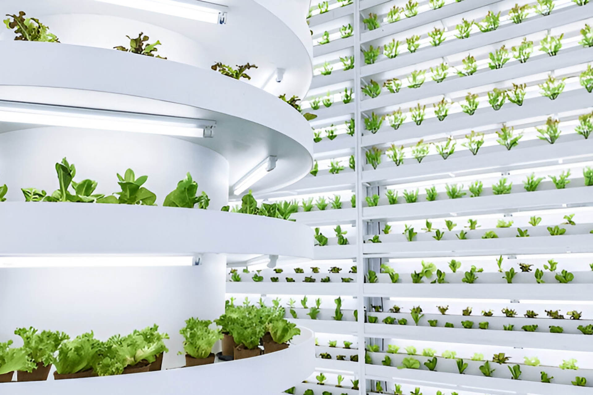 Agriculture and Food Technologies